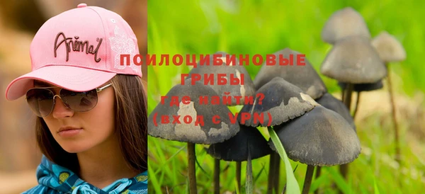 шишки Кинешма
