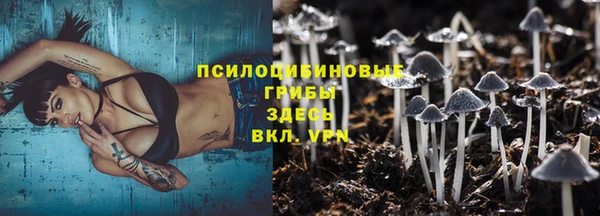 шишки Кинешма