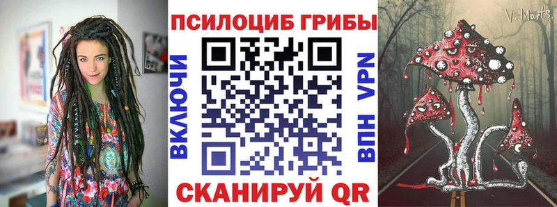 Купить где  Верещагино  Псилоцибиновые грибы ЛСД 